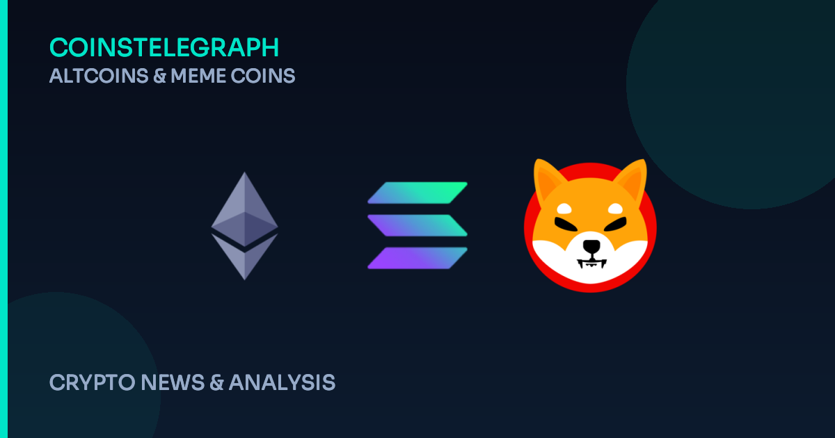 New Cat Meme Coin on Base Chain: $CATMEOW Joins the Fray