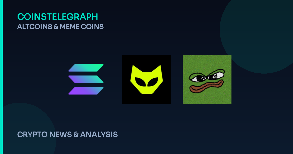 The New Meme Coins: Fast, Risky, and Driven by You