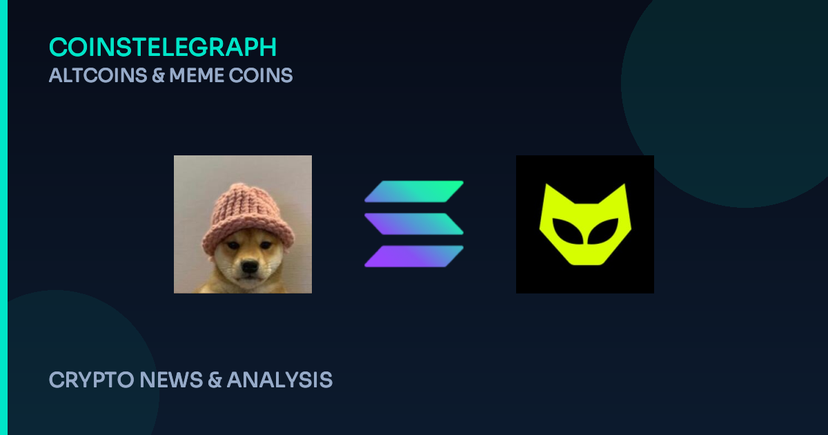 Finding the Next Big Meme Coin Before the Hype