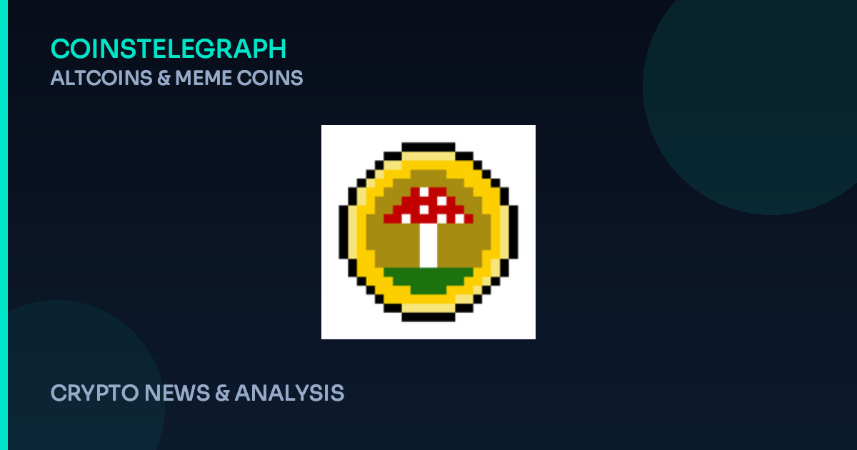Meme Coins Get Serious: How $FUNGI Blends Fun with Real Finance