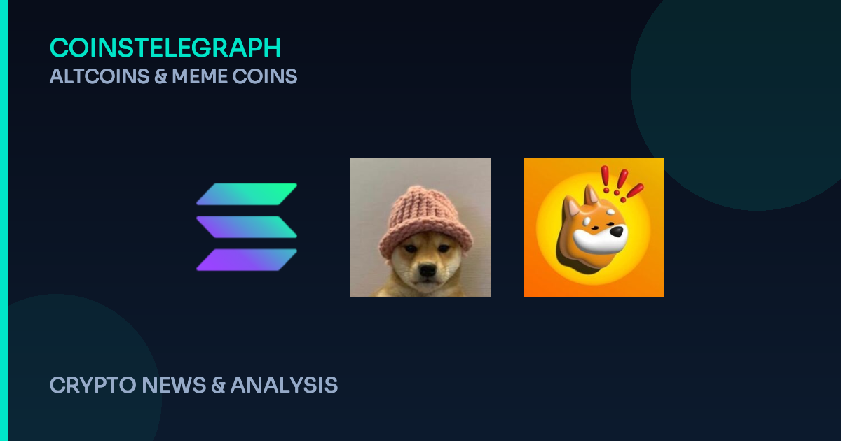 Meme Coin Craze: Where Will the Next Big Tokens Launch?