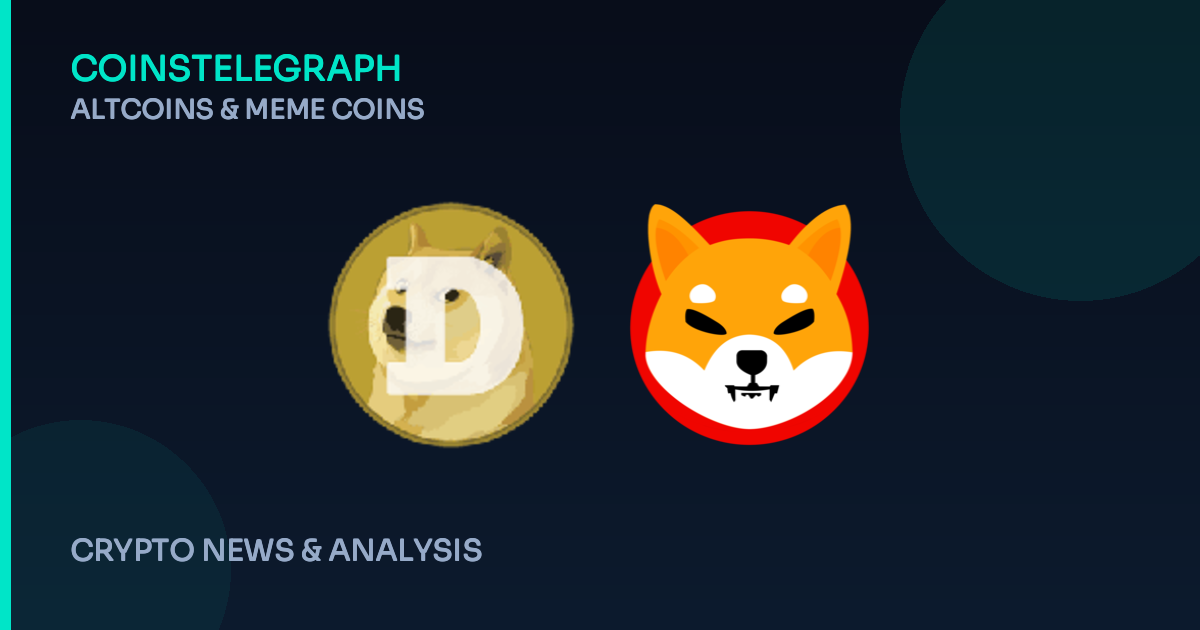 Not Just Doge: Meme Coins Are Getting Specific