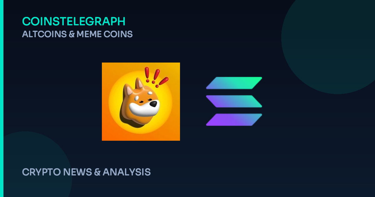 Dog Coins Use Influencers to Stay Popular