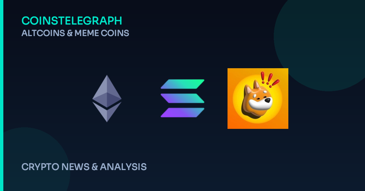 Meme Coins Are Moving: Where Are Holders Going?
