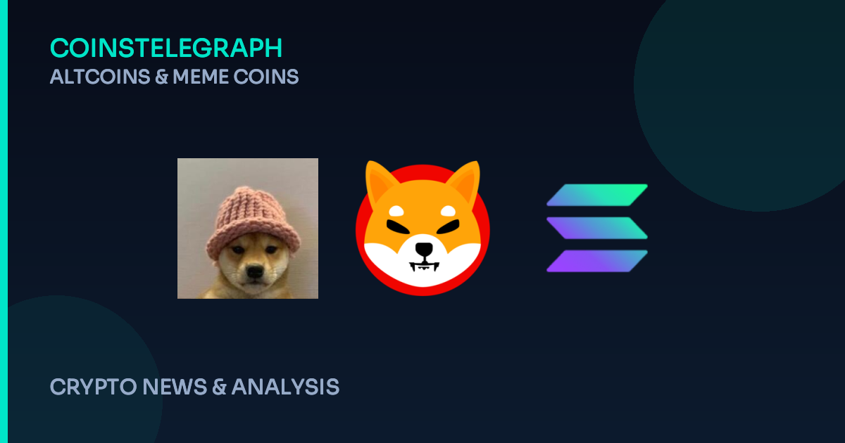 Dogwifhat’s Success Sparks a New Meme Coin Craze