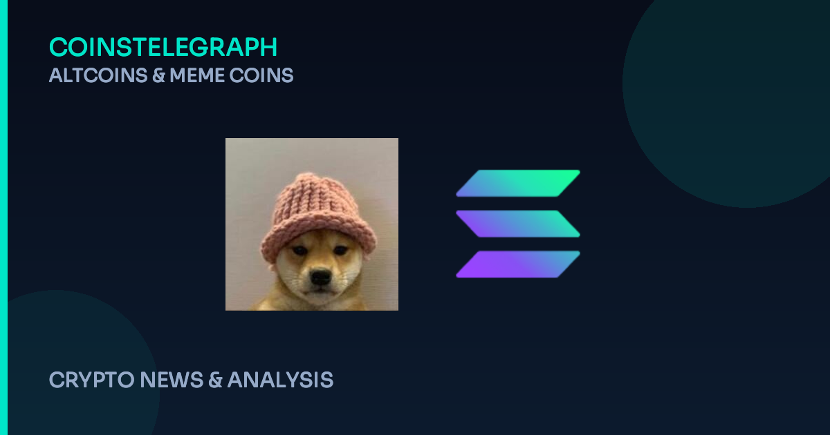 Beyond Dogwifhat: A New Solana Meme Coin Is Catching Eyes