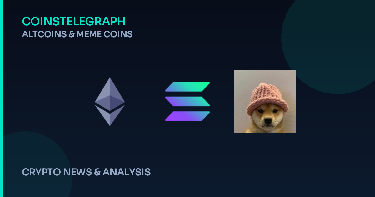 Meme Coins Flock to Cheaper Networks, Leaving Ethereum L2s Behind?