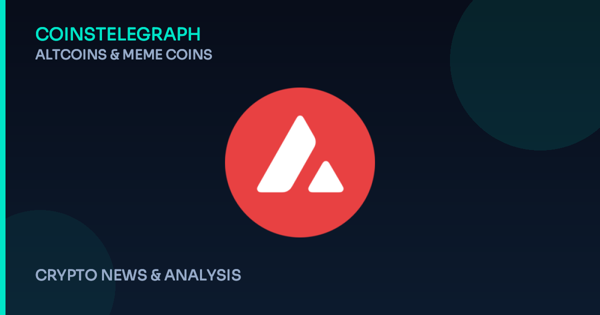 Avalanche Meme Coins: What’s Really Behind the Hype?