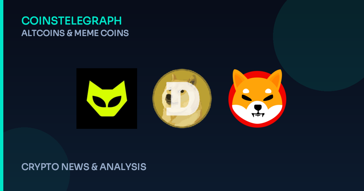 More Cat Coins? Can $MEOW Challenge Doge and Shiba Inu?