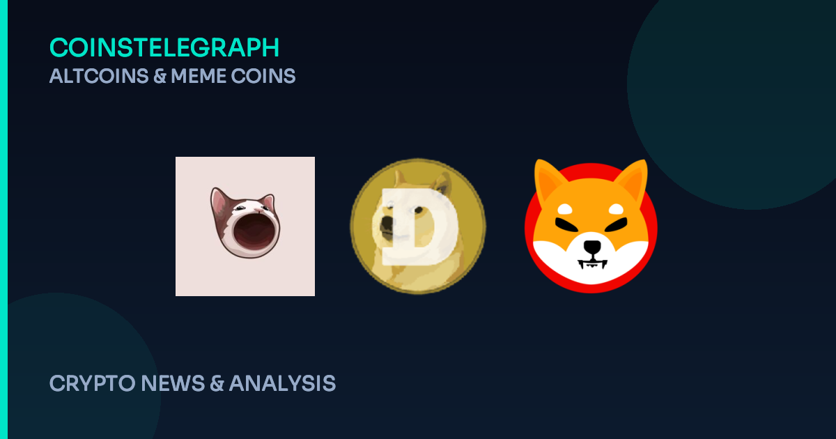 $POPCAT’s Big Jump: Can This Cat Coin Take Down the Big Dogs?