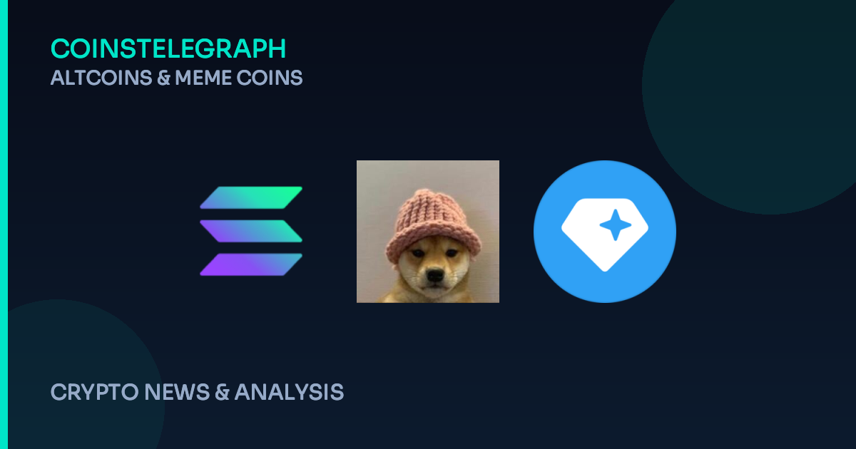Beyond Solana: New Blockchains Vie for Meme Coin Attention