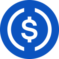 USDC (USDC) logo